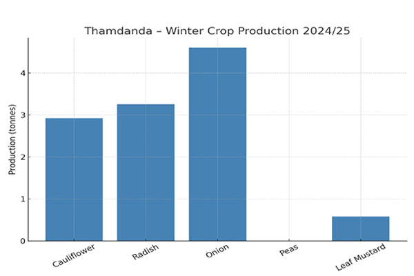 Thamdanda graph
