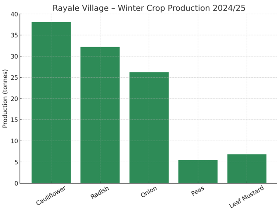 Graph of Rayale Village Winter crop production for 2024/25